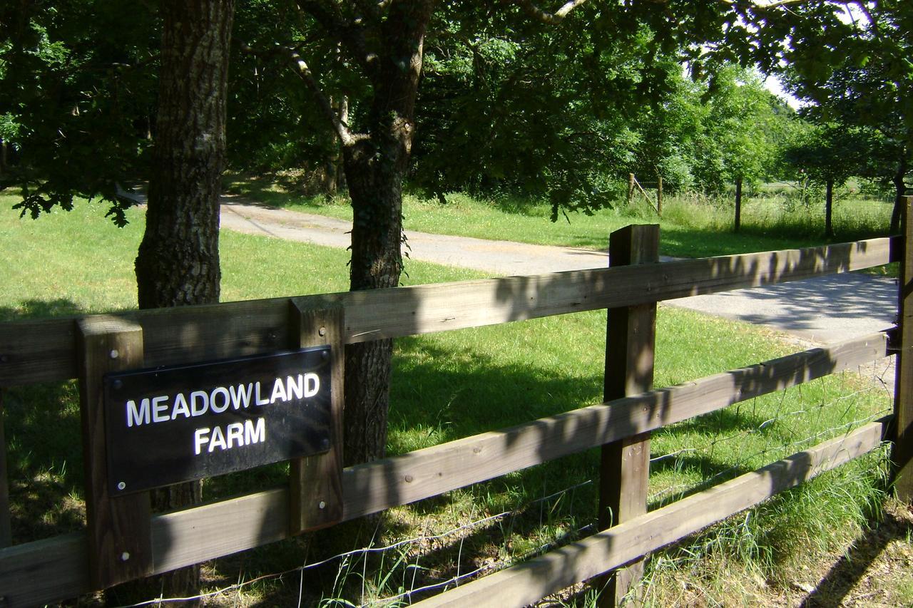 Meadowland Farm Bed and Breakfast Dolton Exteriör bild