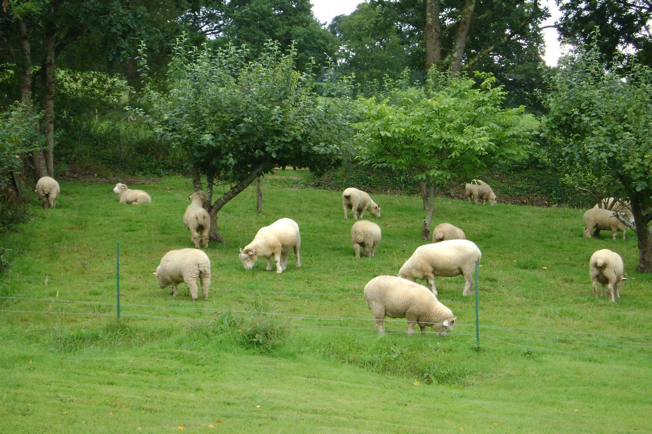 Meadowland Farm Bed and Breakfast Dolton Exteriör bild